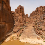 The terminus of the magnificent Guelta D'Archei oasis in the Ennedi of Chad (image by Inger Vandyke)