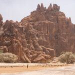 A Toubou shepherd herds his goats into Guelta D'Archei oasis to drink (image by Inger Vandyke