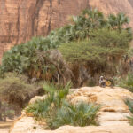 Toubou boys in Bachekele oasis (image by Inger Vandyke)