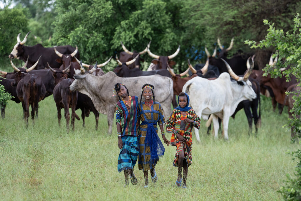 Excited young Wodaabe girls leave their cattle behind to come and greet us (image by Inger Vandyke)