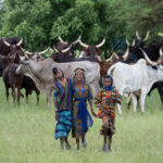 Excited young Wodaabe girls leave their cattle behind to come and greet us (image by Inger Vandyke)