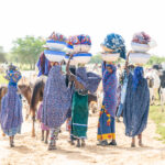 Wodaabe nomad women on the move with their cows (image by Inger Vandyke)