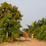An Egungun emerging from a sacred forest with his guardian (image by Inger Vandyke)