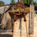 Kpodji Guegue stilt dancer taking a break (image by Inger Vandyke)