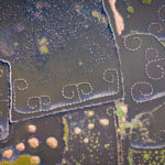 Aerial view of Ganvie's fish farms in Lake Nokoue, Benin (image by Inger Vandyke)