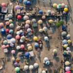 Colourful umbrellas shade the fish sellers at the market in Elmina (image by Inger Vandyke)