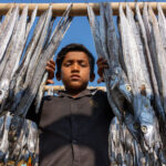 Portrait of a young boy in the drying fish (image by Inger Vandyke)