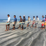Bringing in the catch of a Moonboat involves groups of men hauling heavy nets in by hand (image by Inger Vandyke)