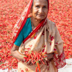 An elderly lady shows off her sorted chillies (image by Inger Vandyke)