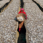 One of the women workers of a fish drying area (image by Inger Vandyke)
