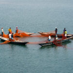 Four-boat fishing in the river (image by Inger Vandyke)