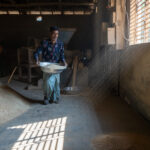 A rice husker delivering his produce to a storage pile (image by Inger Vandyke)
