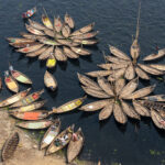 River taxis moored up like flowers (image by Inger Vandyke)