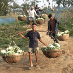 Carrying is still a regular job for the people of Bangladesh (image by Inger Vandyke)