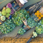 A vegetable seller sorting cabbages (image by Inger Vandyke)