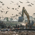 Waste pickers work alongside mechanical diggers and thousands of birds (image by Inger Vandyke)