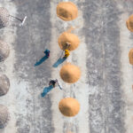 Workers in a rice drying courtyard (image by Inger Vandyke)