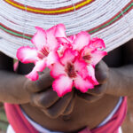 Young Rendile girl holding Desert Rose flowers (image by Inger Vandyke)