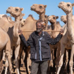 A Gabra camel herder with his animals (image by Inger Vandyke)