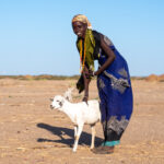 A Gabra girl with her goat in the Chalbi (image by Inger Vandyke)