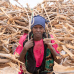 A Gabra girl surrounded by fire wood (image by Inger Vandyke)