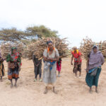 Young Gabra women collecting firewood at the edge of the Chalbi Desert (image by Inger Vandyke)