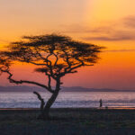 A Turkana woman collects water from the lake during a breathtaking African sunset (image by Inger Vandyke)