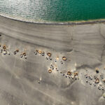 A Turkana village at the edge of Lake Turkana's moon-like landscapes (image by Inger Vandyke)