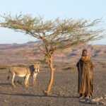 A Turkana woman with her donkeys (image by Inger Vandyke)