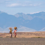 Turkana women returning to their homestead with firewood (image by Inger Vandyke)