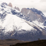 Guanaco sentinel. It must be a stressful life constantly on the lookout for something that wants to eat you (image by Mike Watson)