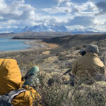 A typical crime scene, overlooking the site of a kill (image by Mike Watson)