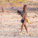 A young Ovahimba girl carrying firewood back to her family home (image by Inger Vandyke)