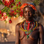 On Ovandimba woman with her dogs and poinciana tree (image by Inger Vandyke)