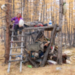 Summer storage area for the Tsaatan nomads of Mongolia (image by Inger Vandyke)