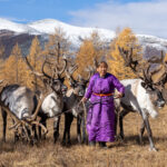 An elderly Tsaatan woman bringing her reindeer in from grazing (image by Inger Vandyke)