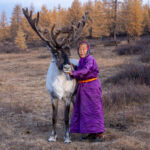 Portrait of an elderly Tsaatan lady and her favourite reindeer (image by Inger Vandyke)