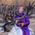 A prominent elderly Tsaatan lady riding her reindeer (image by Inger Vandyke)