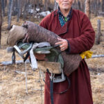 A Tsaatan head man prepares to saddle one of his reindeer (image by Inger Vandyke)