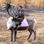 Tsaatan children are experts at riding Reindeer (image by Inger Vandyke)