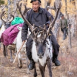 On migration from the summer pastures (image by Inger Vandyke)