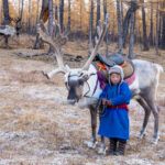 Tsaatan children are raised to know and understand reindeer from a very young age (image by Inger Vandyke)