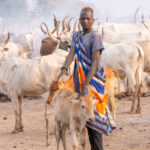 A Mundari boy with his favourite calf (image by Inger Vandyke)