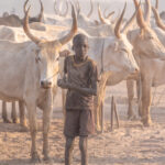 Mundari children are tasked with looking after cows almost as soon as they can walk (image by Inger Vandyke)