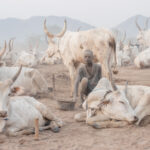 A young Mundari boy collecting dung in the camp (image by Inger Vandyke)