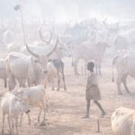 The magical atmosphere of Mundari cattle camps (image by Inger Vandyke)