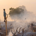 Young Mundari boy checking out the routine of the camp (image by Inger Vandyke)