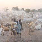 The stunning atmosphere of a Mundari cattle camp at sunrise (image by Inger Vandyke)