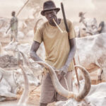 An elderly Mundari man with his stick toothbrush (image by Inger Vandyke)