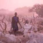 Sunrise with the Mundari (image by Inger Vandyke)